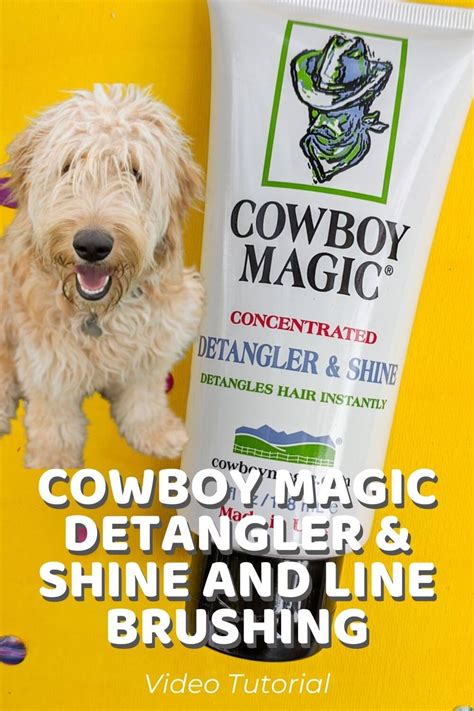 Keep Your Dog's Coat Soft and Lustrous with Cowboy Magic Conditioner